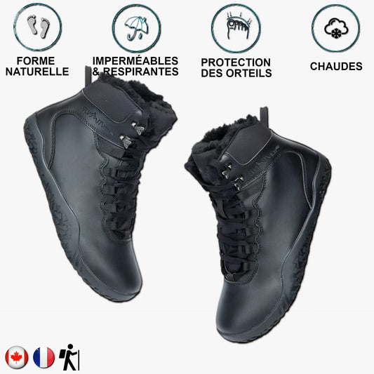 Aigle noir