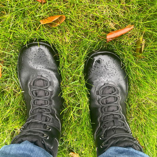 Aigle noir
